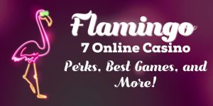 flamingo 7 login
